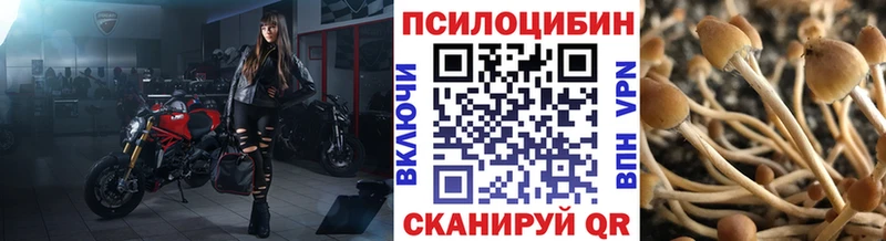 Галлюциногенные грибы прущие грибы  купить  цена  Абакан 