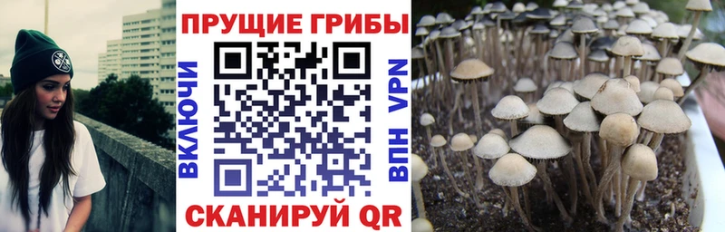 Галлюциногенные грибы GOLDEN TEACHER Абакан