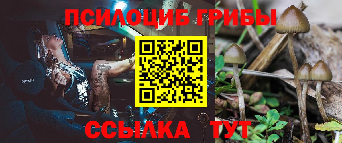 Псилоцибиновые грибы Magic Shrooms Абакан