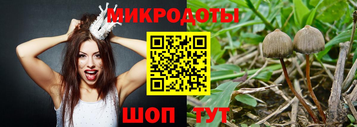 Галлюциногенные грибы мухоморы Абакан